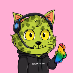Taco Gato #8988