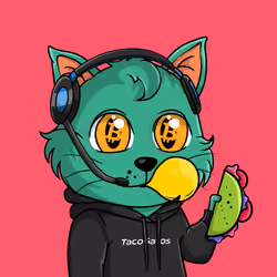 Taco Gato #5859