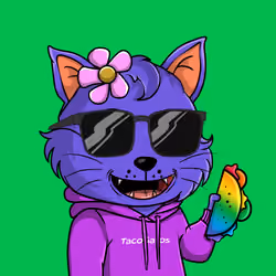 Taco Gato #680