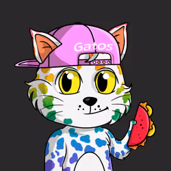 Taco Gato #3474