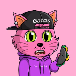 Taco Gato #2639