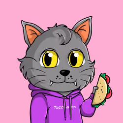 Taco Gato #6355