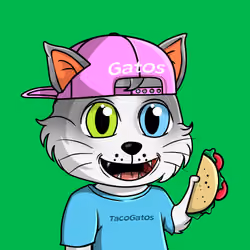 Taco Gato #2072