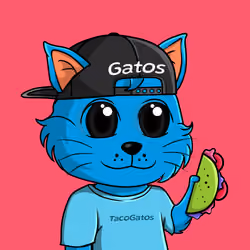 Taco Gato #5081