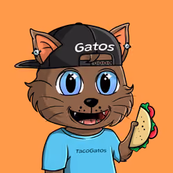 Taco Gato #71