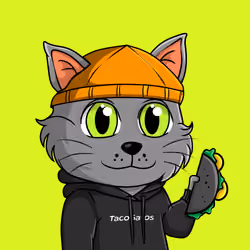 Taco Gato #2721