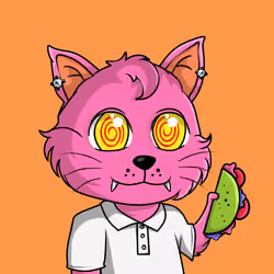 Taco Gato #5722