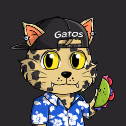 Taco Gato #623