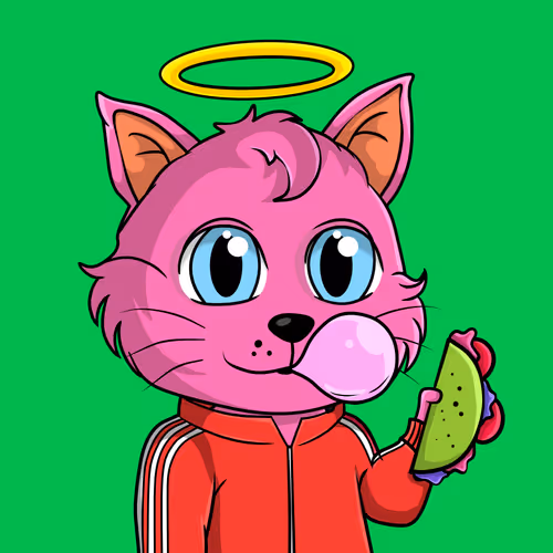 Taco Gato #789