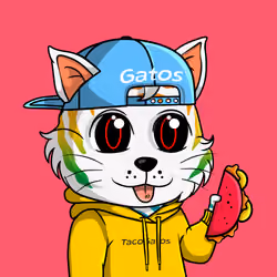 Taco Gato #6864
