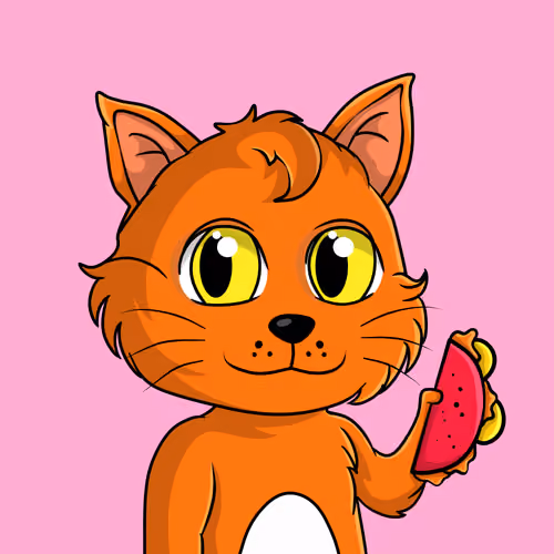 Taco Gato #536