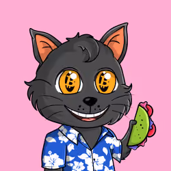 Taco Gato #9976