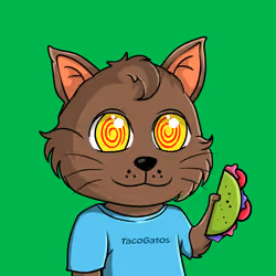 Taco Gato #2136