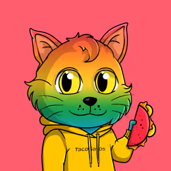 Taco Gato #8684