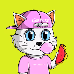 Taco Gato #2029