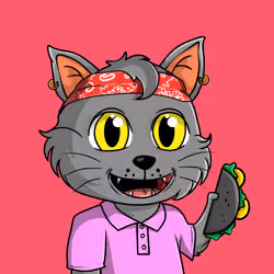 Taco Gato #5162