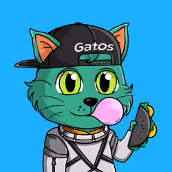 Taco Gato #4525