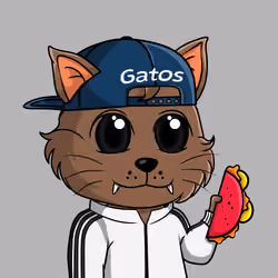 Taco Gato #219