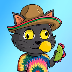 Taco Gato #4123
