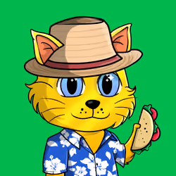 Taco Gato #4124