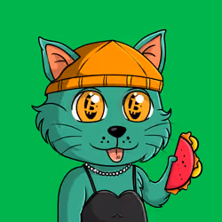 Taco Gato #4798
