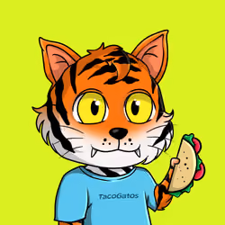 Taco Gato #6435