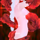 Crimson Whispers