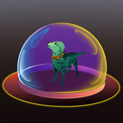 DOG ZONE #244