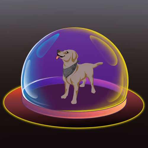 DOG ZONE #3