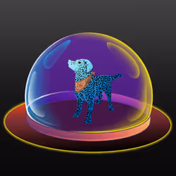 DOG ZONE #245