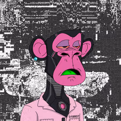 2004