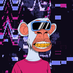 804