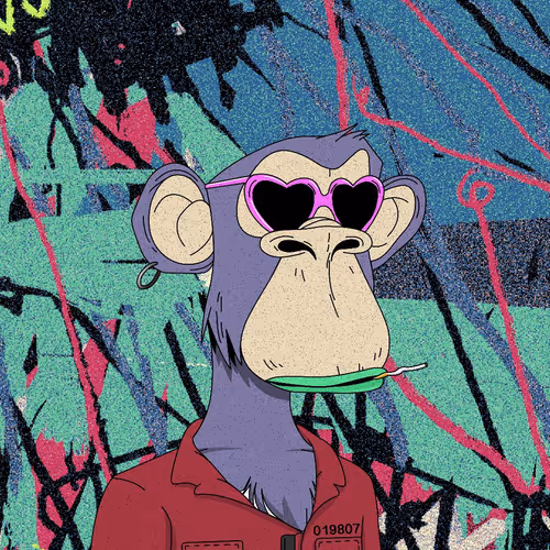 The Xapes