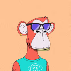 2641