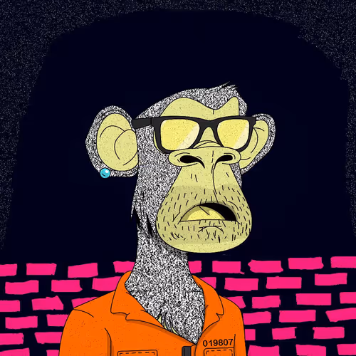 The Xapes