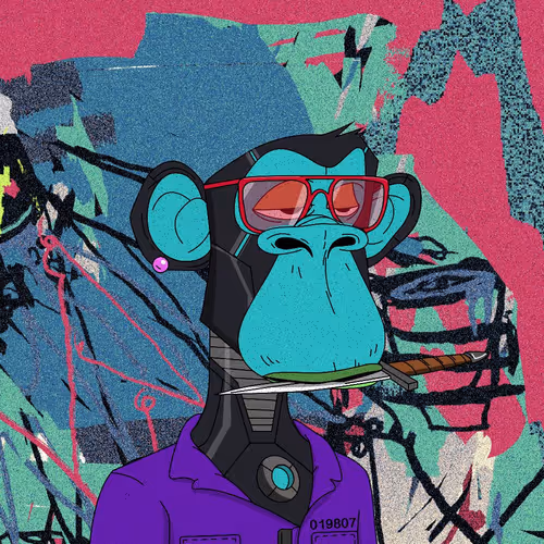 The Xapes