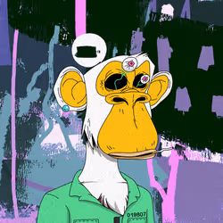 1426