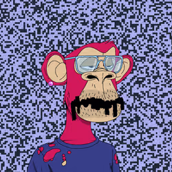 243
