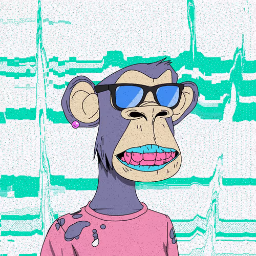 The Xapes