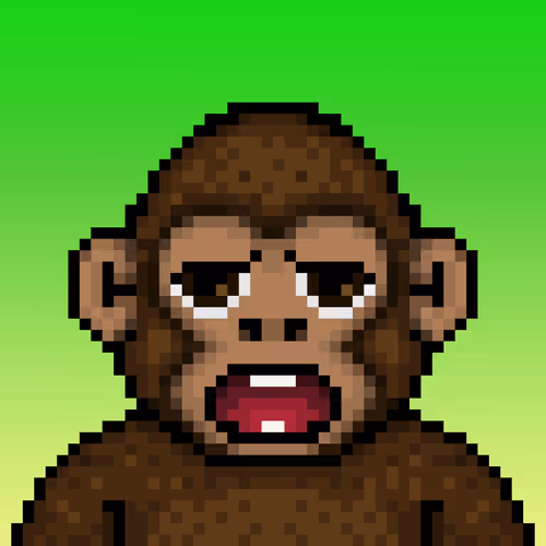 Ooga #7062