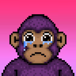 Ooga #7367