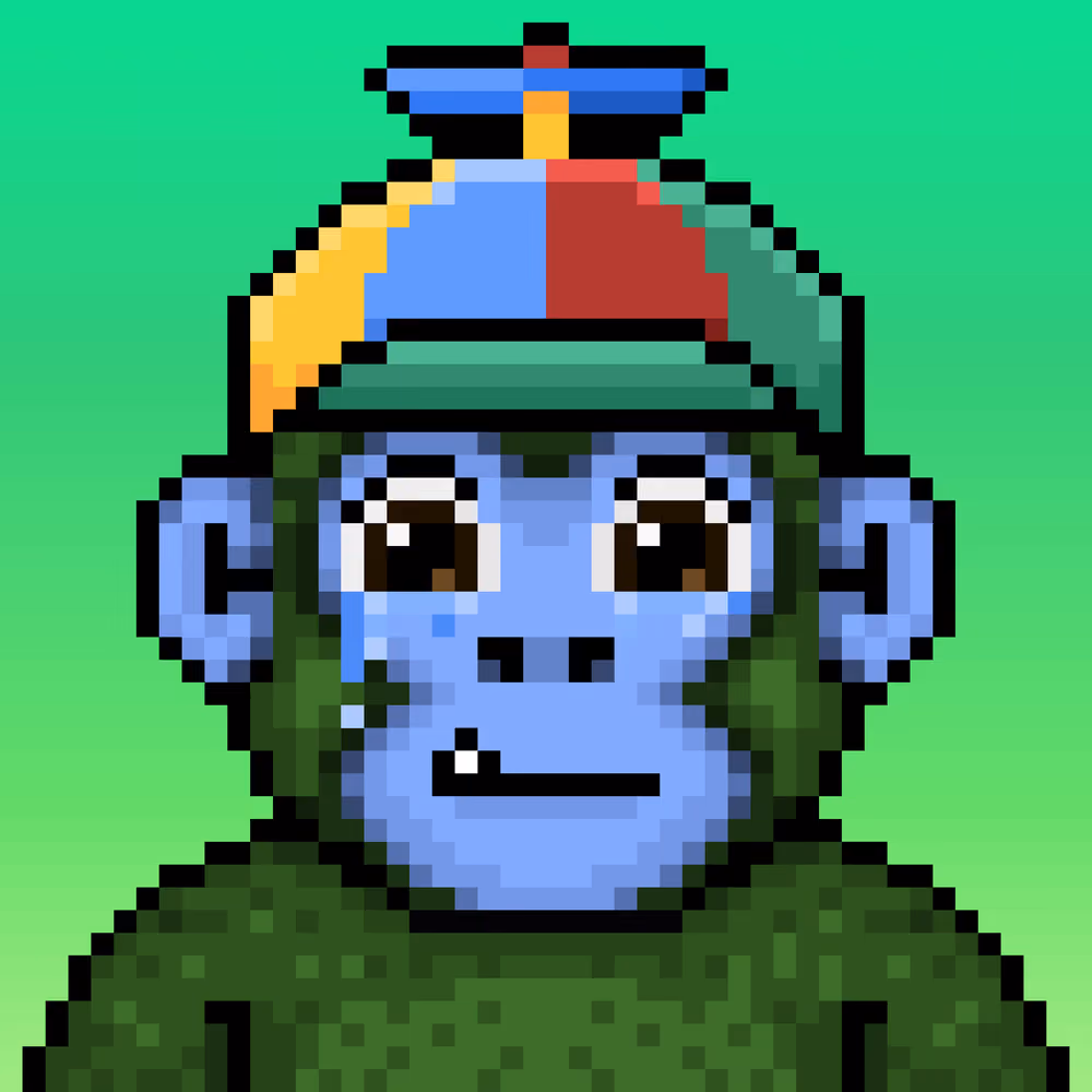 Ooga #7991