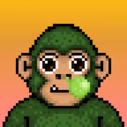 Ooga #5054
