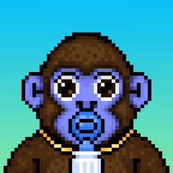 Ooga #7857