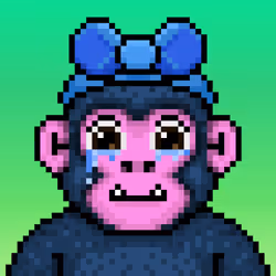 Ooga #3800