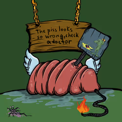 955