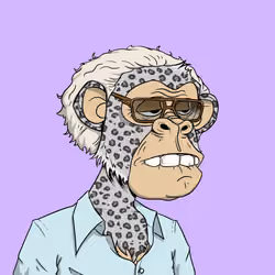 Elderly Ape #2071