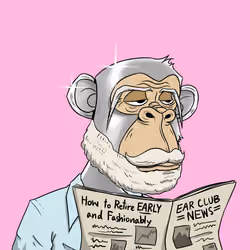 Elderly Ape #3633