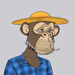 Elderly Ape #2804