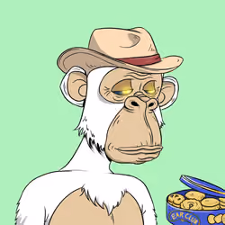 Elderly Ape #2184